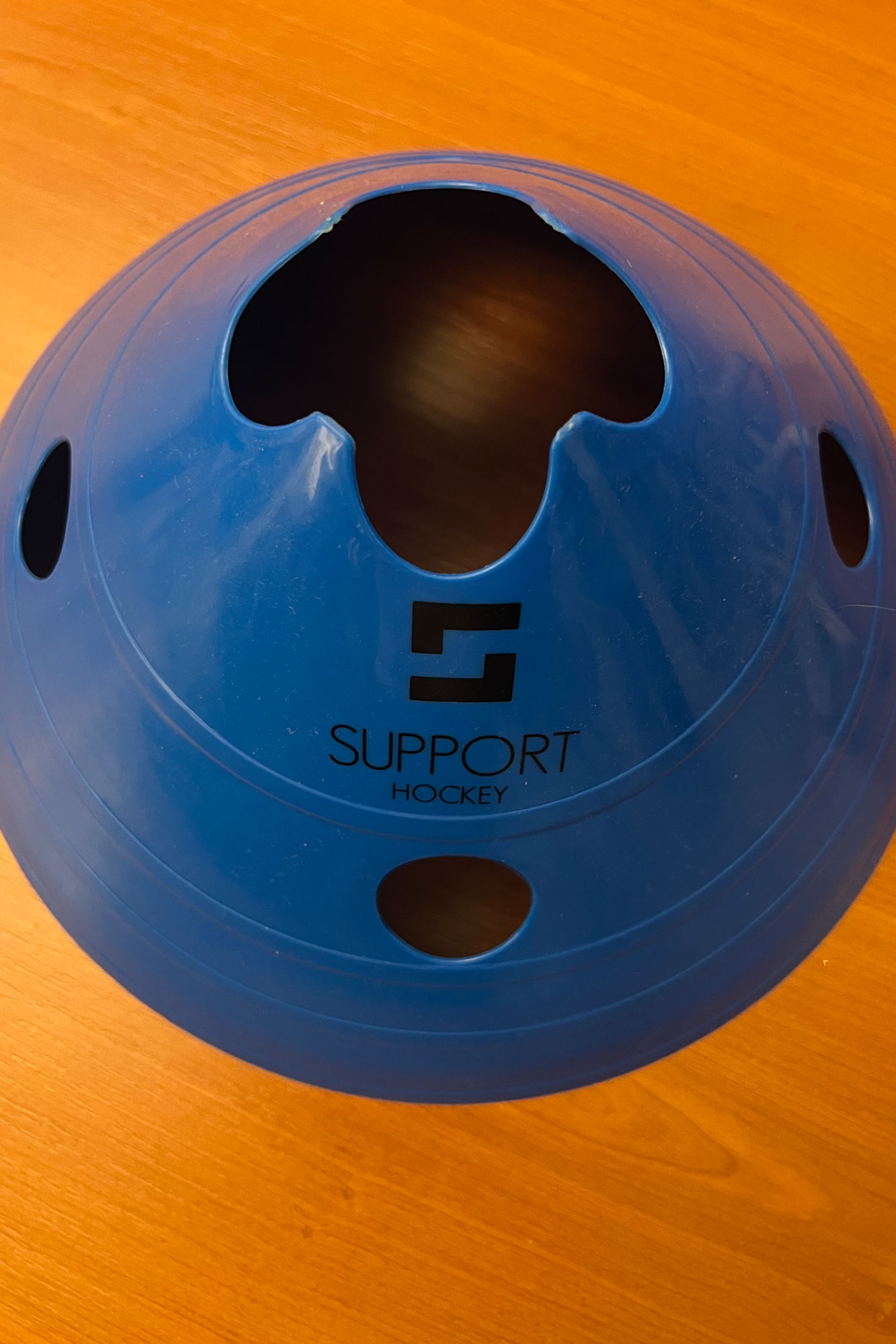 Support Kegels Groot – Blauw (20st)