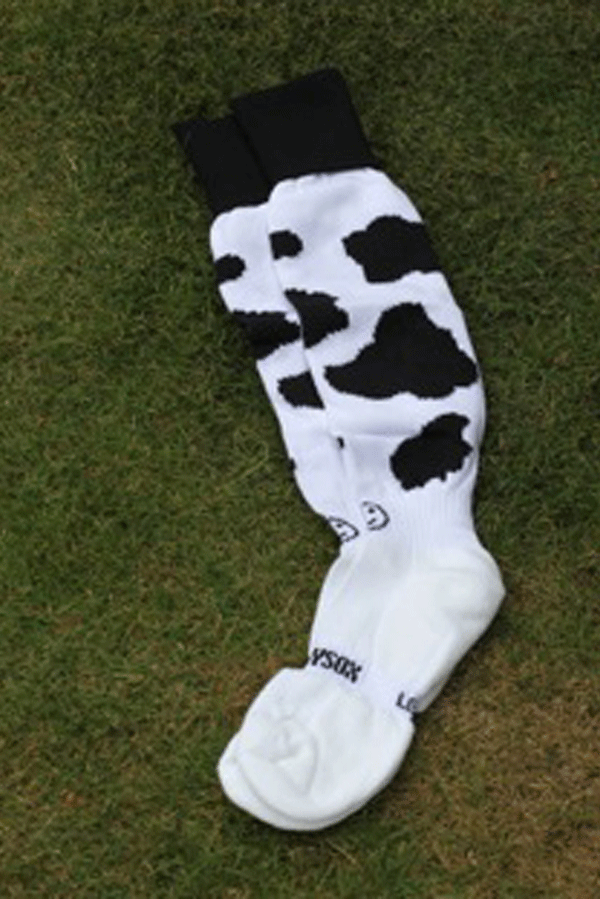 Wackey Sox Hockeysokken koe